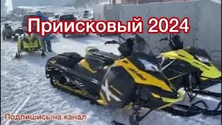 2024 is a gold mine for beginners! How do you drive here?!