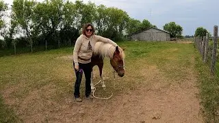 grooming Tequila