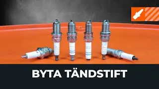 Så byter du tändstift på bilen [AUTODOC-LEKTION]