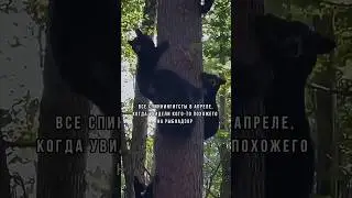 Нарушаем? 🚨👮‍♂️ 