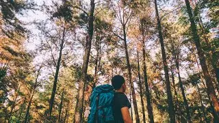 CARA PASANG FILE DNG DI LIGHTROOM MOBILE