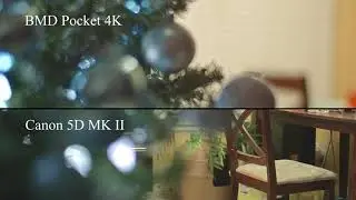 Depth of Field Full Frame vs. Four Thirds (M4/3) Boosted BMD Pocket 4K Cinema Camera & Canon 5D MKII