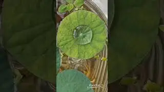 New Video enjoy