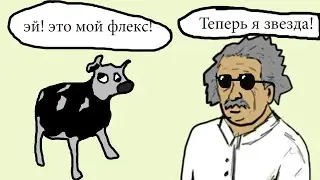 Польский Эйнштейн флексит | Что это было?
