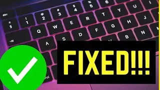 HP Keyboard  not working [English]