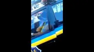 Конвейер протоколов. Киев. ч2