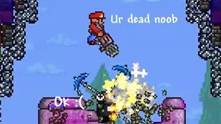 The Terraria Multiplayer Experience...
