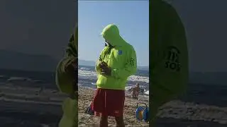 Una mariposa visita a los Guardavidas de Sacanova.
