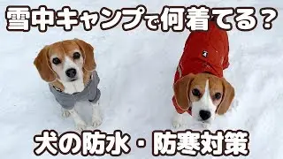 【犬の防寒対策】雪遊び・雪中(冬)キャンプにオススメ！ 犬の防寒着を紹介します - 2023年 -