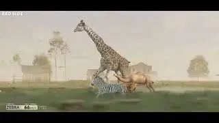 Animal Speed Comparison With A Bonus Video