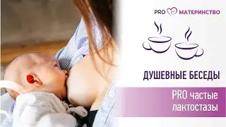 Душевные беседы. Эфир Instagram (267)