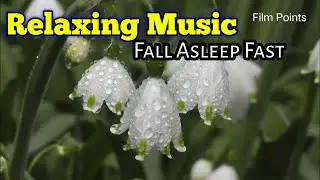 #relaxingmusic | Deep Sleep Music | Stress Relief Music | Meditation Music | Best Relaxing Music |
