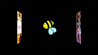 Fun video