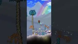 The Best Summoner Weapons In Terraria. 