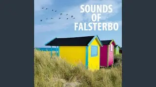 Kaptensgården / Strandbaden, Bag in da Box (Live) (feat. Orremannen & Dj Tune)