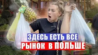 РЫНОК в ПОЛЬШЕ для НАШИХ. Как он выглядит?
