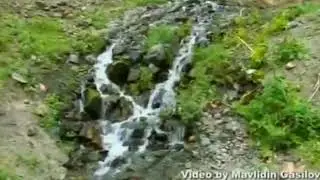 Гульсоват Наврузова -  Няъа магьмыл'да сувабы. новинка 💥💥💥💣 Цахурские песни 2021г