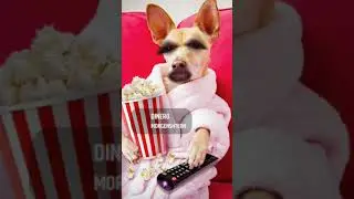Немного своего . СПАСИБО ЗА 752 ПОДПИСЧИКА ❤❤❤❤❤❤МОИ ЛЮБИМЫЕ 😘😘😘😘😘😘😘😘