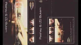 LTJ Bukem & Peshay (circa 1998)