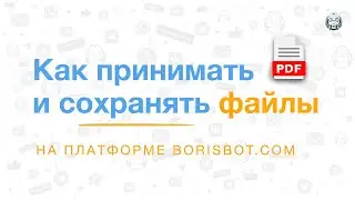Как принимать и сохранять файлы на платформе BorisBot.com: инструкция.