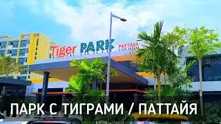Tiger Park Паттайя 🐅 Игра с тигром. Незабываемое приключение / Tiger Park Pattaya 