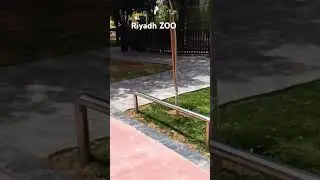 Riyadh Zoo