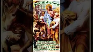 З ВЕРБНОЮ НЕДІЛЕЮ!