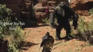 [Dragon's Dogma 2] Grim Ogre battle | Fighter Solo with Pawn buffs | No-hit