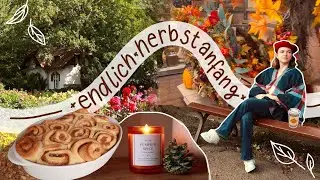 Endlich Herbstanfang 🍂☕️ 🍁 Zimtrollen backen, Bücher + Herbstdeko