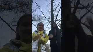 Двоюродная сестра ✌🏻