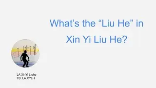 Quarantine Kung Fu: Lockdown Liuhe 7 (What is "Liu he"?)