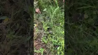 Универсальный инструмент