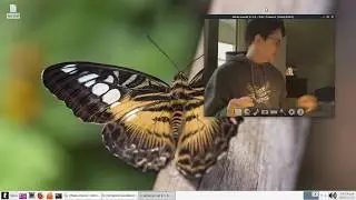 Linux lite 4.2 64Bit : webcamoid 8.1.0, how i got webcam software to work