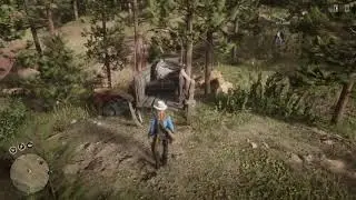 Red Dead Online Calumet Ravine Treasure Map Location Guide Easy Gold and Money!