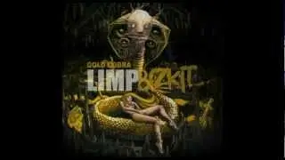 Limp Bizkit - Bring It Back (cover)