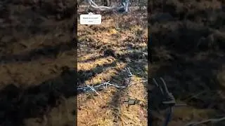 Someone cut my fence! 