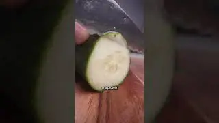Feeding my editor Pt. 6