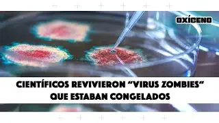 ¿Científicos revivieron “virus zombies”?