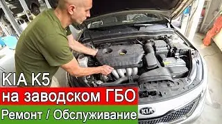 Korean LPG equipment - service and repair. Kia K5, Hyundai with factory LPG equipment.