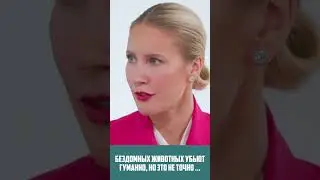 #гуманисты