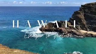HAWAII Aesthetics | Escape To Nature