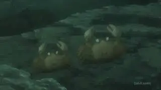 Rip Anubis