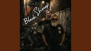 Black Sheep