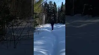 Территория рядом с домом