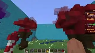 Tour of new server