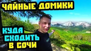Куда сходить в Сочи? ЧАЙНЫЕ ДОМИКИ - популярное место для туристов в Сочи.