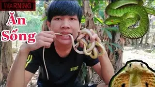 Sơn Cáo - Ăn Rắn Sống Thách Thức Khả Năng Sinh Tồn  ( Hậu Cáo )
