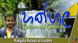 Hakgala Botanical Garden / Nuwara Eliya/2023/ HD/ EP 45