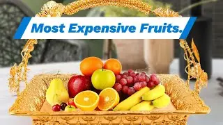 The Golden Fruits: World's Most Expensive Fruits
