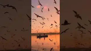 BUEN DÍA